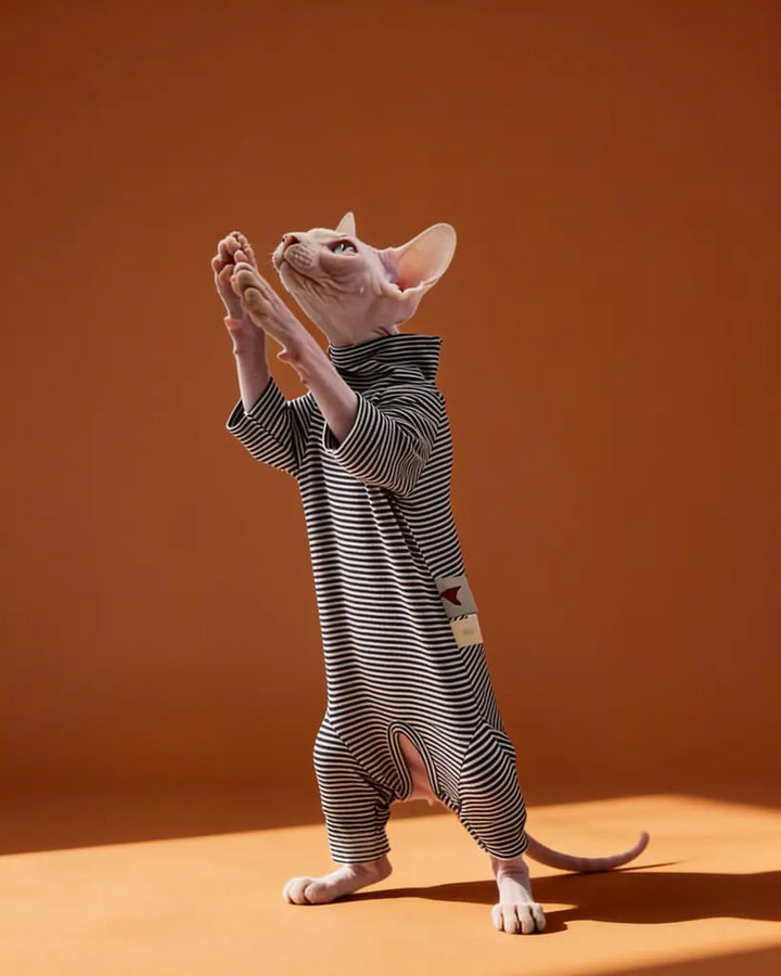 A hairless cat wearing a black-and-white horizontally striped turtleneck jumpsuit.