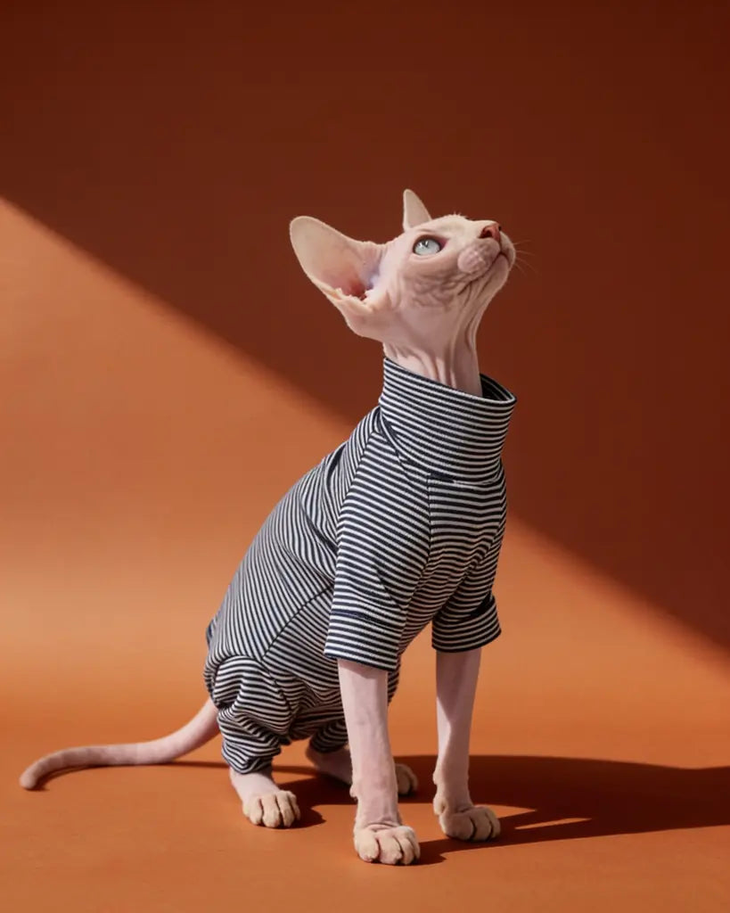 Sphynx cat wearing a black and white striped cotton onesie indoors