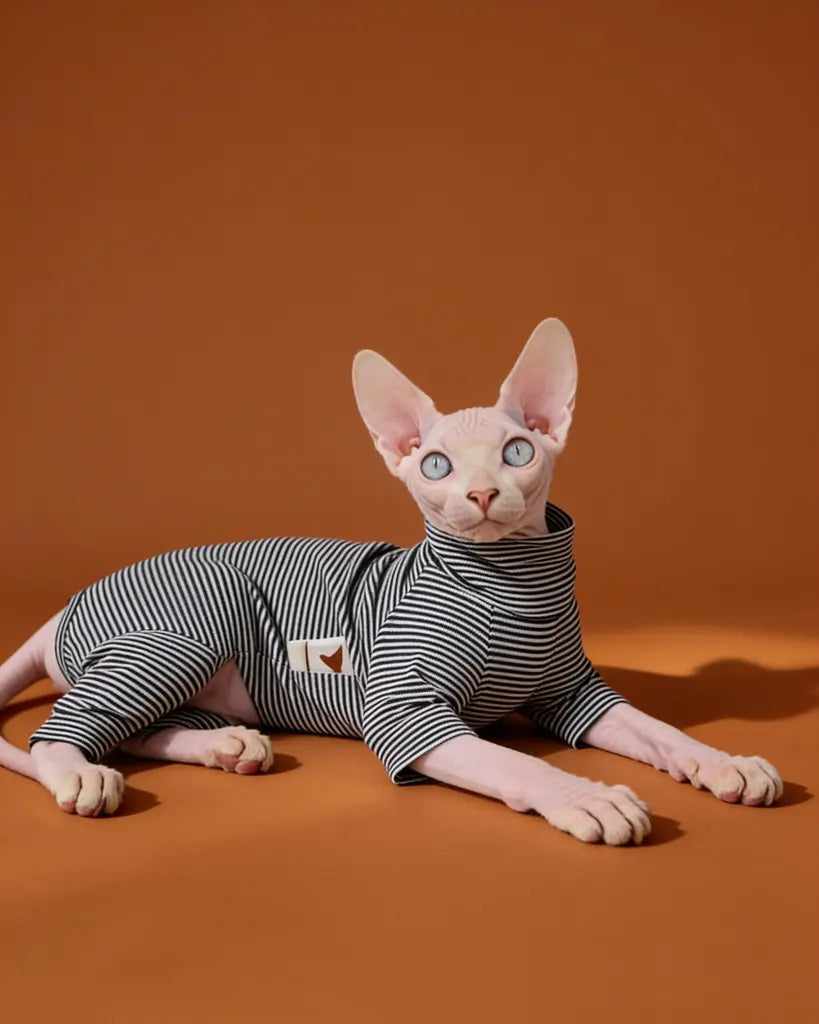 Sphynx cat wearing a black and white striped cotton onesie indoors