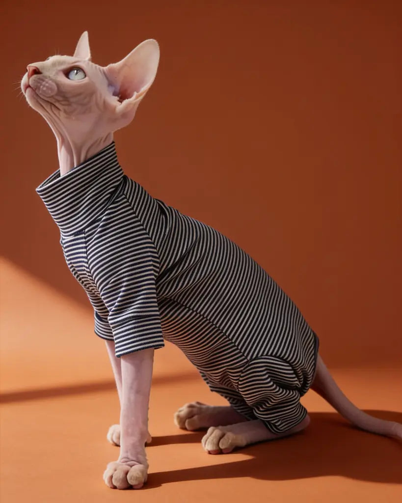 Sphynx cat wearing a black and white striped cotton onesie indoors