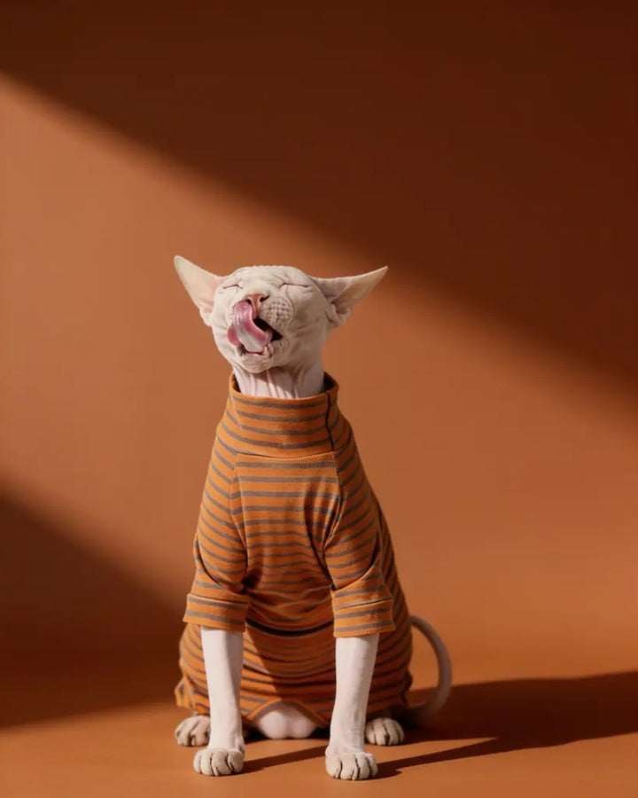 Sphynx cat wearing an orange and gray striped cotton onesie