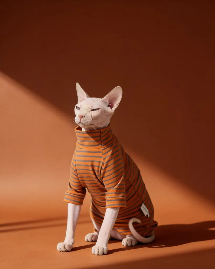 Sphynx cat wearing an orange and gray striped cotton onesie
