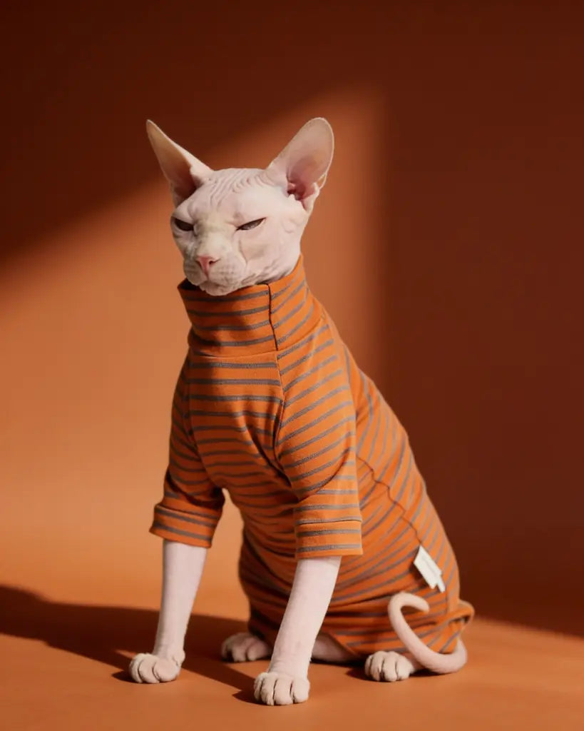 Sphynx cat wearing an orange and gray striped cotton onesie