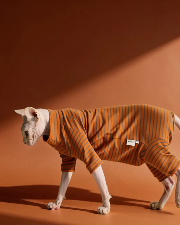 Sphynx cat wearing an orange and gray striped cotton onesie