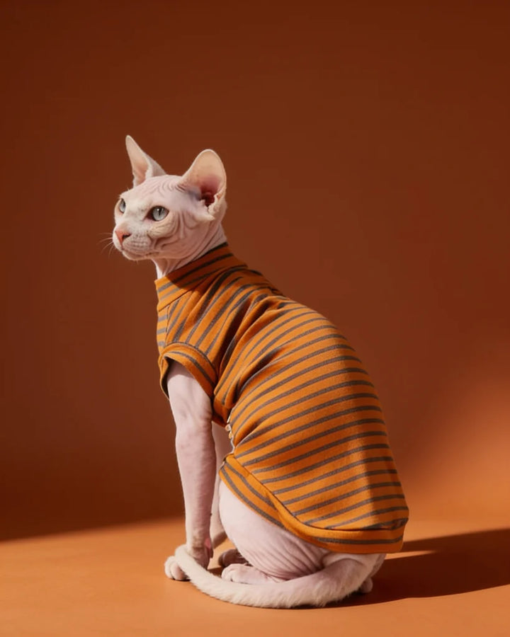 Sphynx cat wearing a lightweight orange striped cotton tee 