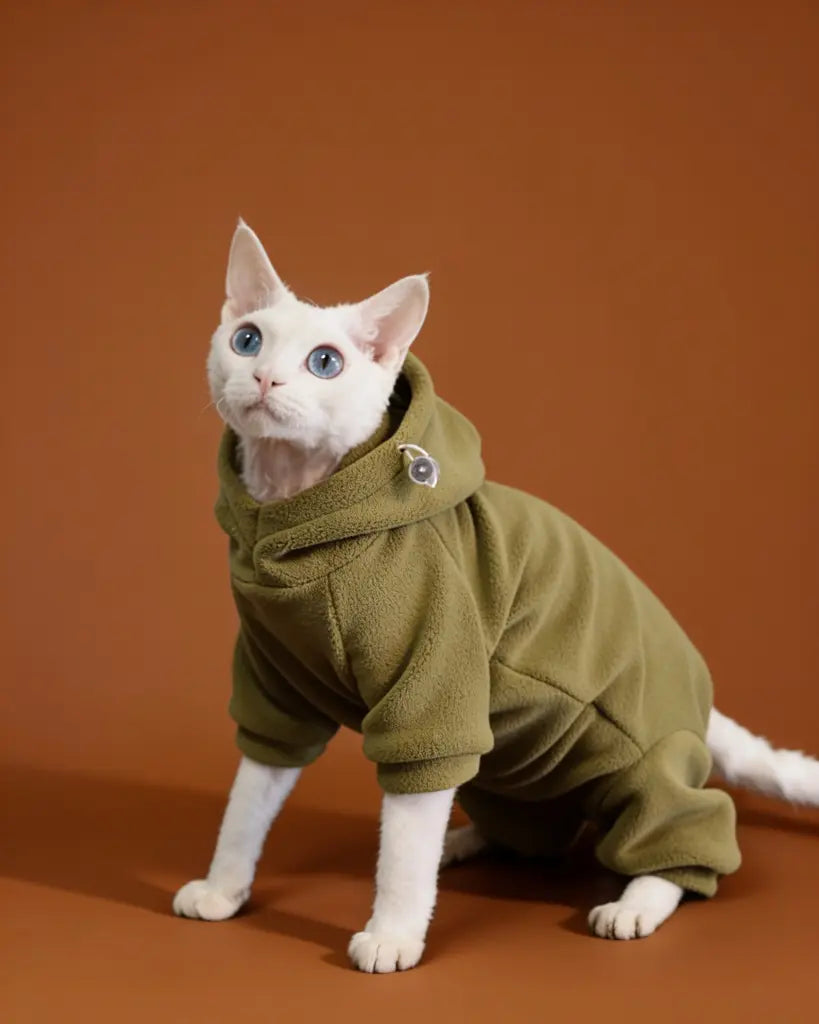 White Sphynx cat wearing a cotton hooded onesie for winter warmth