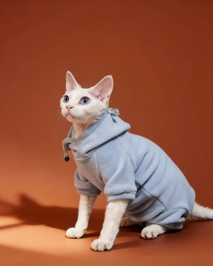 White Sphynx cat wearing a cotton hooded onesie for winter warmth