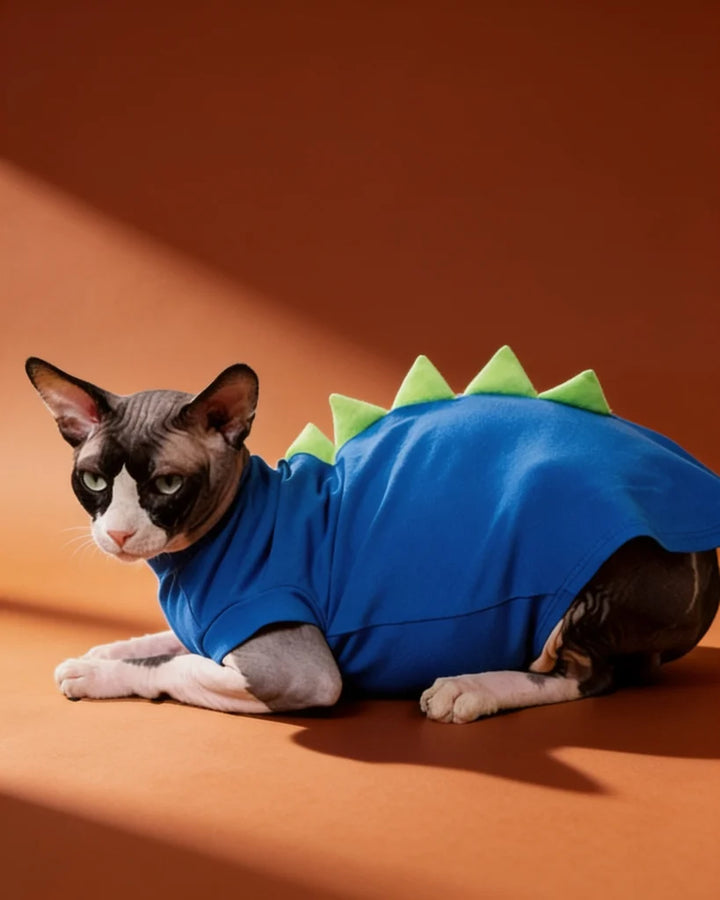 cute-dinosaur-tshirt-hairless-cat-jumper - CityBear