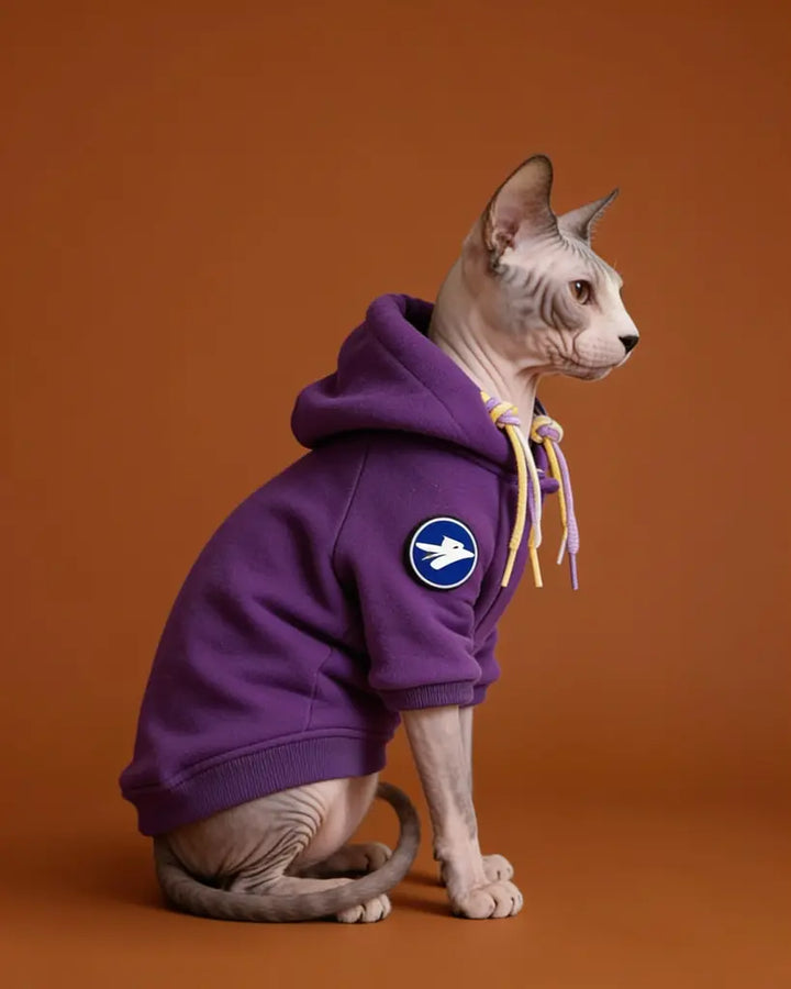A hairless cat wearing a purple hoodie with drawstrings.