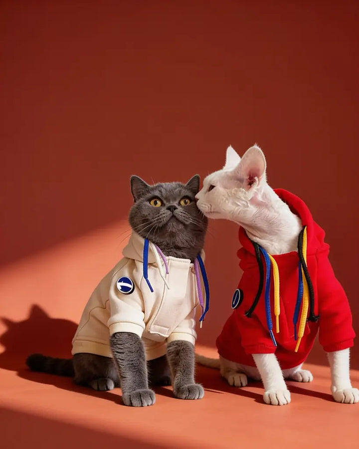 Two cats wearing pet hoodies pose together against a warm terracotta background. The cat on the left is gray and wears a cream hoodie with blue and purple drawstrings.