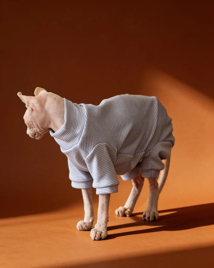 Sphynx cat wearing a soft blue striped fleece onesie for fall and winter warmth