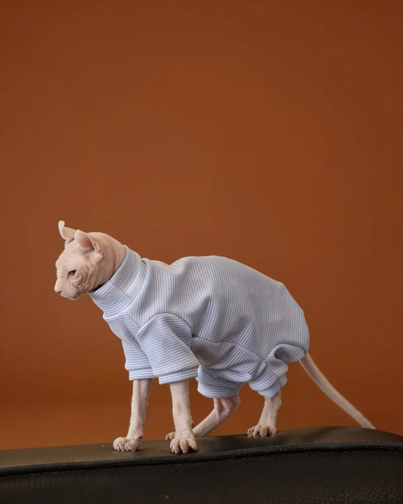 A hairless cat wearing a light blue and white striped turtleneck sweater.