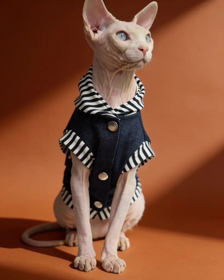Sphynx cat wearing a blue cotton denim-style harness jacket