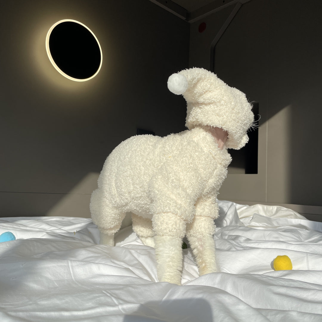 Sphynx Cat Onesies With Hat