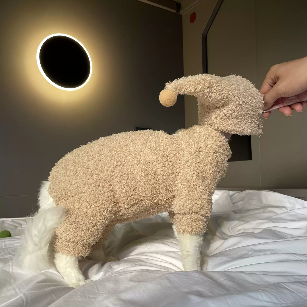 Sphynx Cat Onesies With Hat