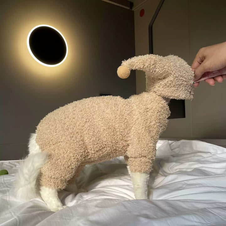 Sphynx Cat Onesies With Hat