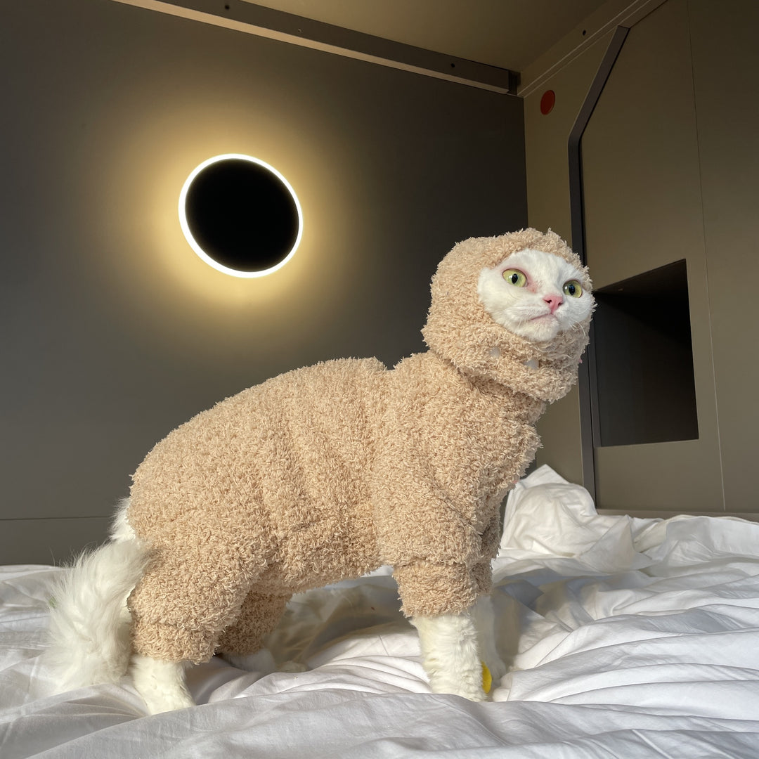 Sphynx Cat Onesies With Hat