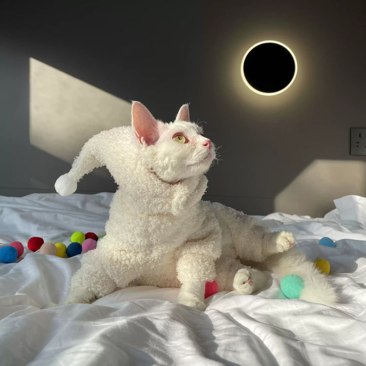 Sphynx Cat Onesies With Hat