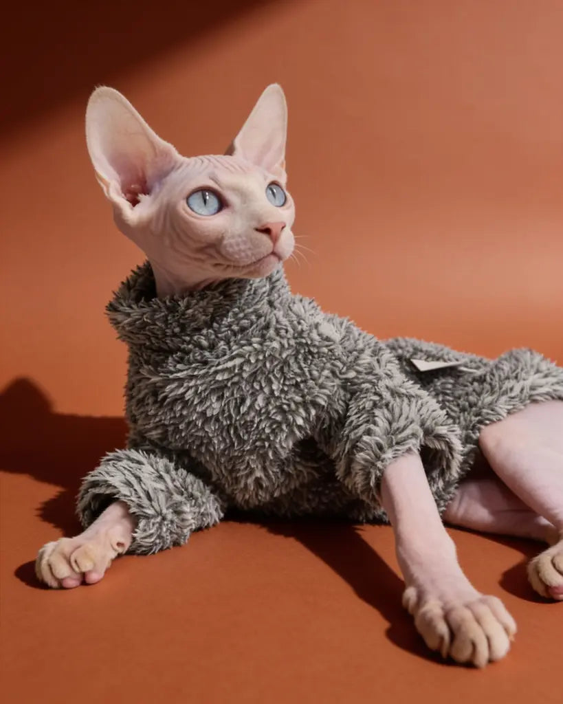 Sphynx cat wearing a gray plush highneck sweater for autumn and winter warmth