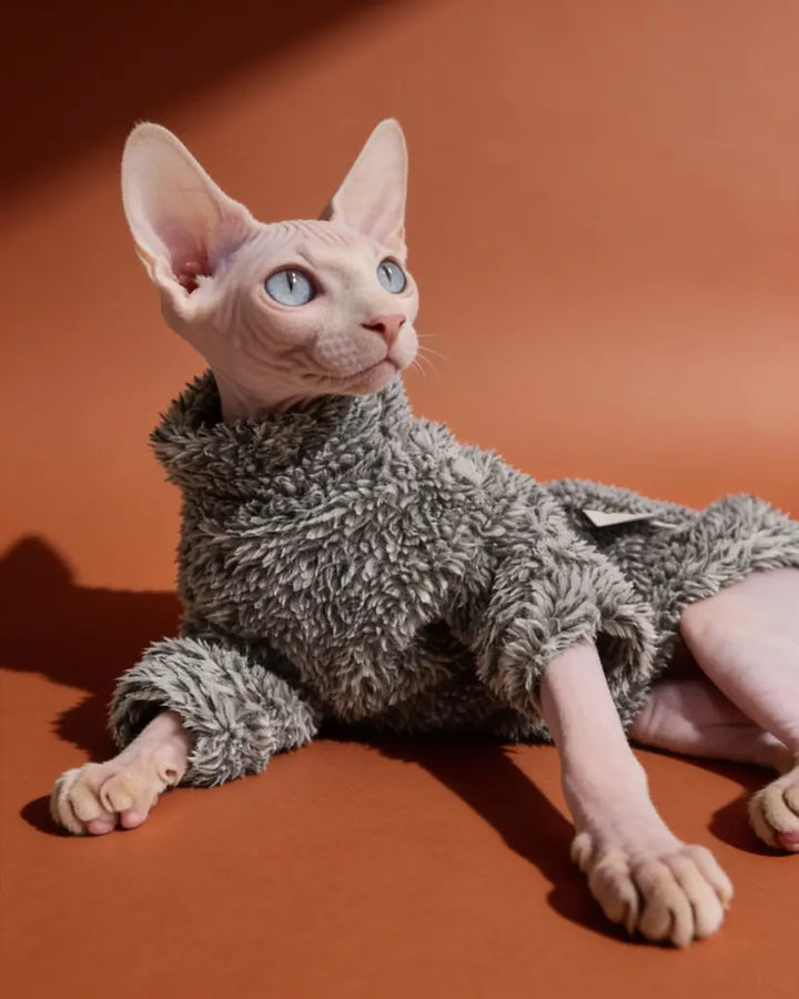 Sphynx cat wearing a gray plush highneck sweater for autumn and winter warmth