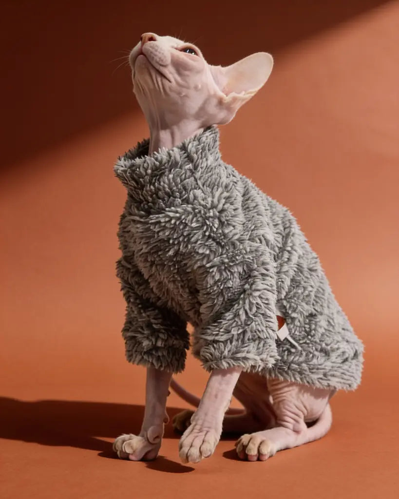 Sphynx cat wearing a gray plush highneck sweater for autumn and winter warmth