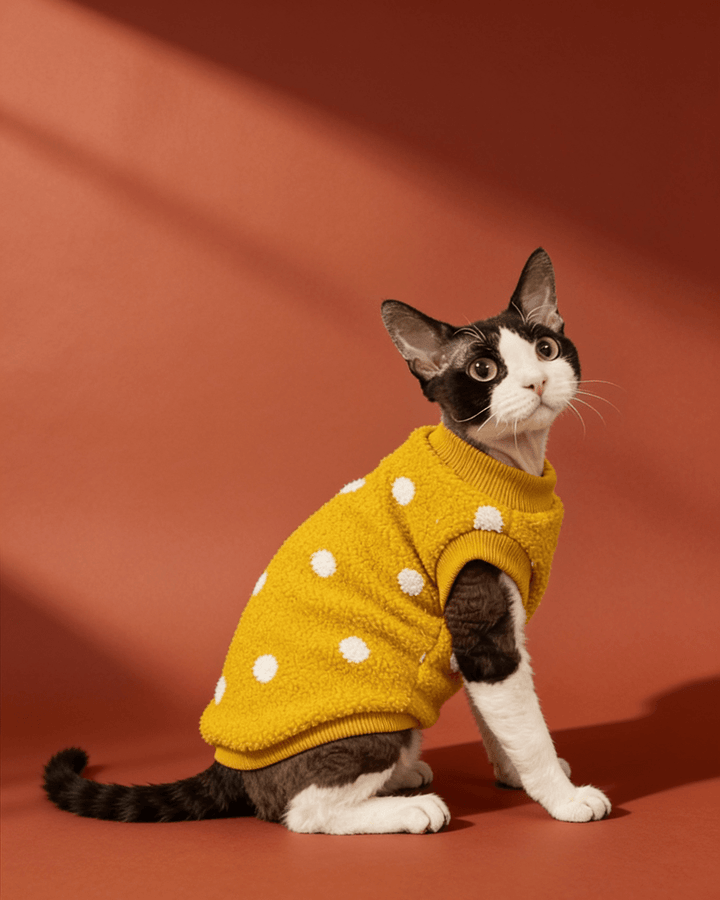 A black and white cat wearing a gold color sweater with white polka dots, sitting against a warm terracotta background.
