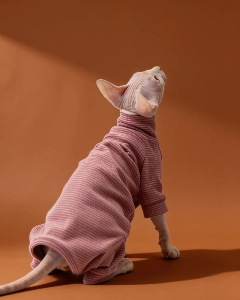 Sphynx cat wearing a striped warm onesie for fall and winter