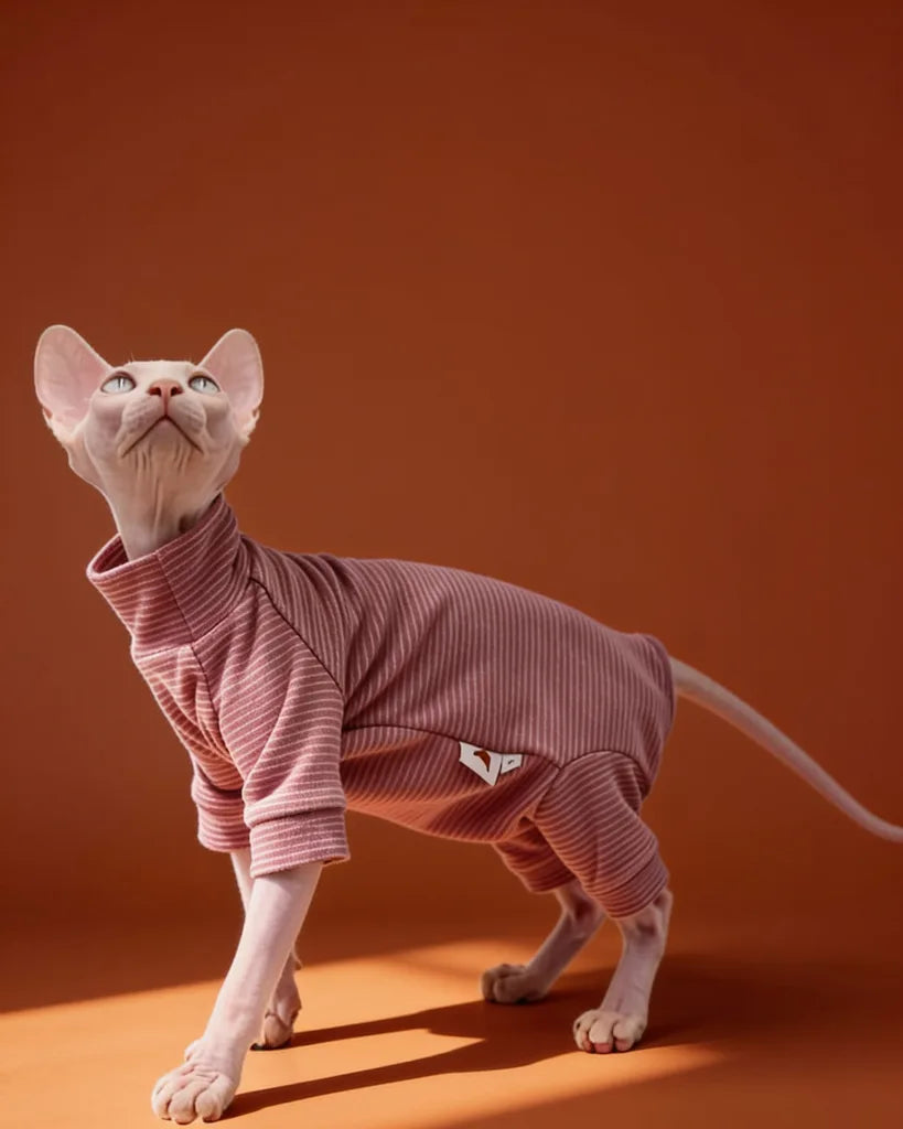 Sphynx cat wearing a striped warm onesie for fall and winter