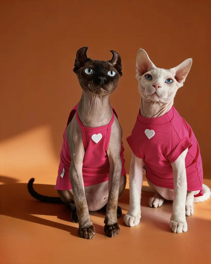 Two hairless cats wearing bright pink tank-style shirts with small white heart graphics.