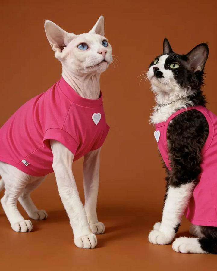 Two hairless cats wearing bright pink tank-style shirts with small white heart graphics.