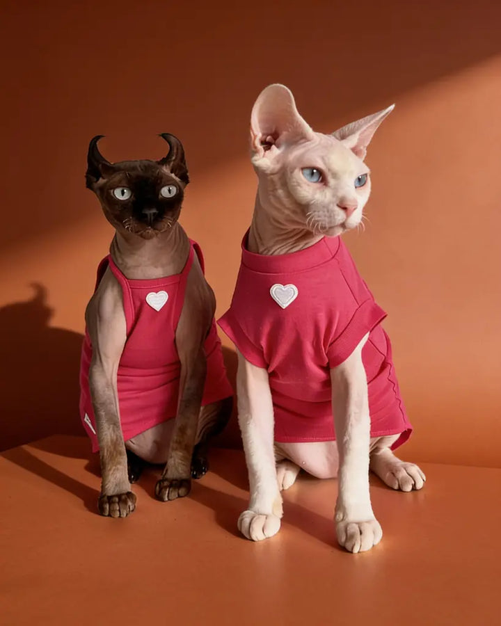 Two hairless cats wearing bright pink tank-style shirts with small white heart graphics.