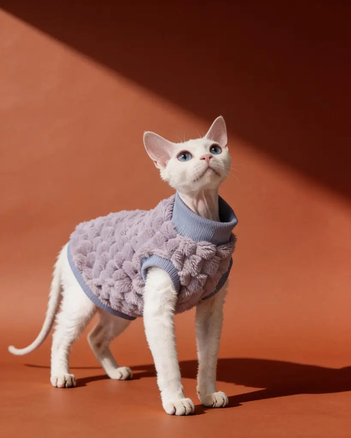 A white cat wearing a lavender textured sweater.
