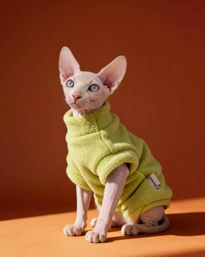 Sphynx cat wearing a thick green plush sweater for autumn and winter warmth