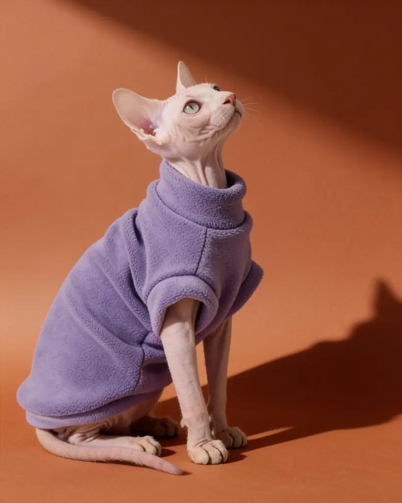 A hairless cat wearing a lavender turtleneck sweater.