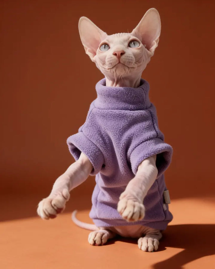 Sphynx cat wearing a thick purple plush sweater for autumn and winter warmth