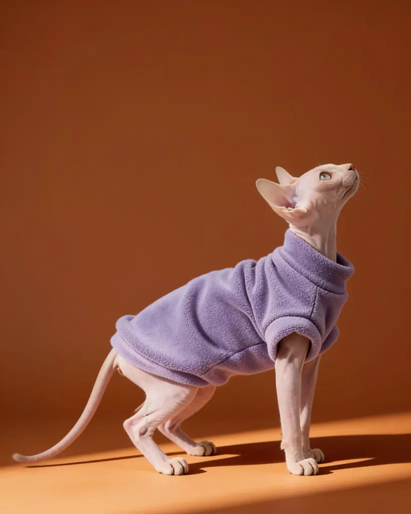 Sphynx cat wearing a thick purple plush sweater for autumn and winter warmth