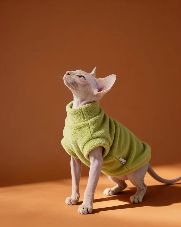 Sphynx cat wearing a thick green plush sweater for autumn and winter warmth