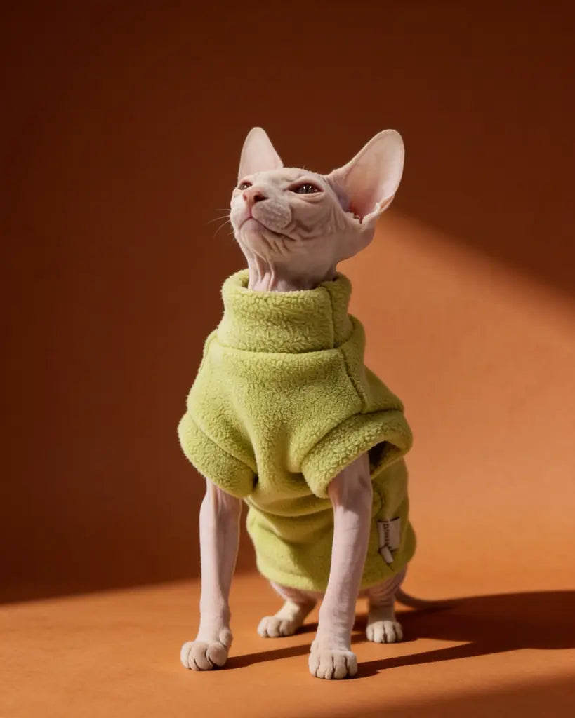 Sphynx cat wearing a thick green plush sweater for autumn and winter warmth