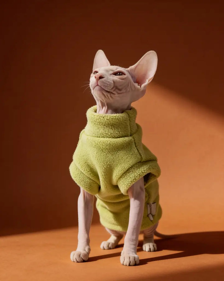 Sphynx cat wearing a thick green plush sweater for autumn and winter warmth