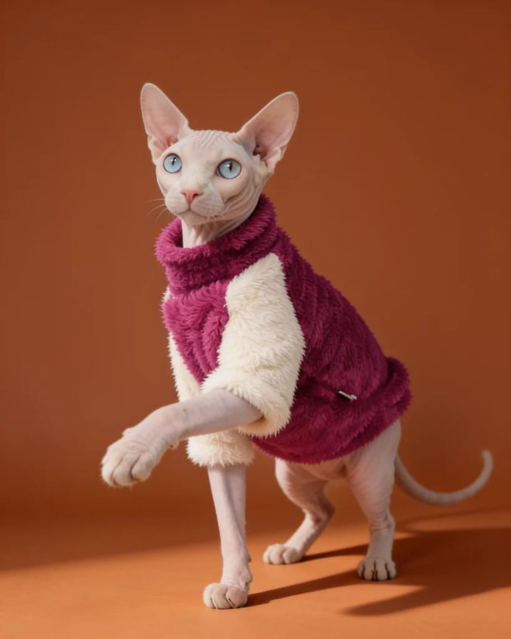 A hairless cat wearing a plush magenta and cream pet sweater.