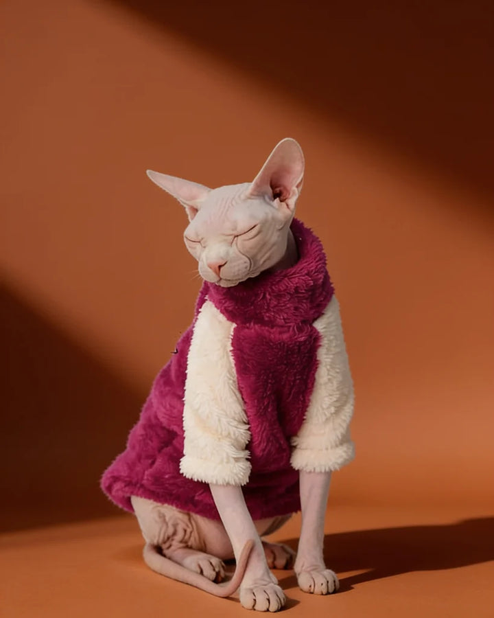 A hairless cat wearing a plush magenta and cream pet sweater.