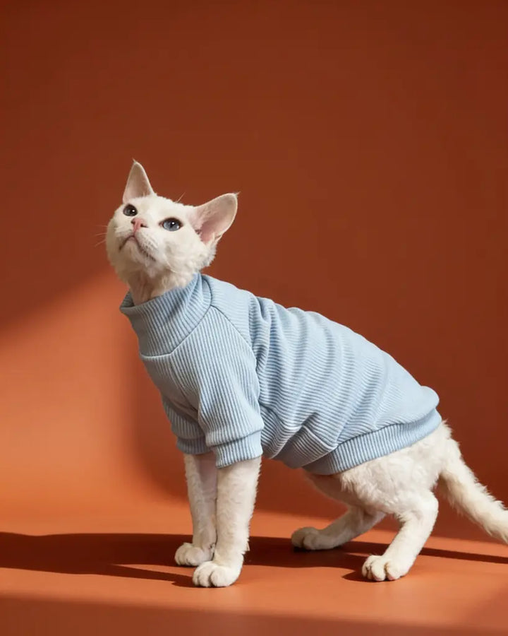Sphynx Cat Warm Long Sleeve Pet Shirt CityBear