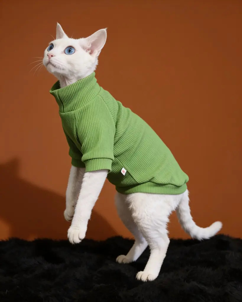 Sphynx Cat Warm Long Sleeve Pet Shirt CityBear