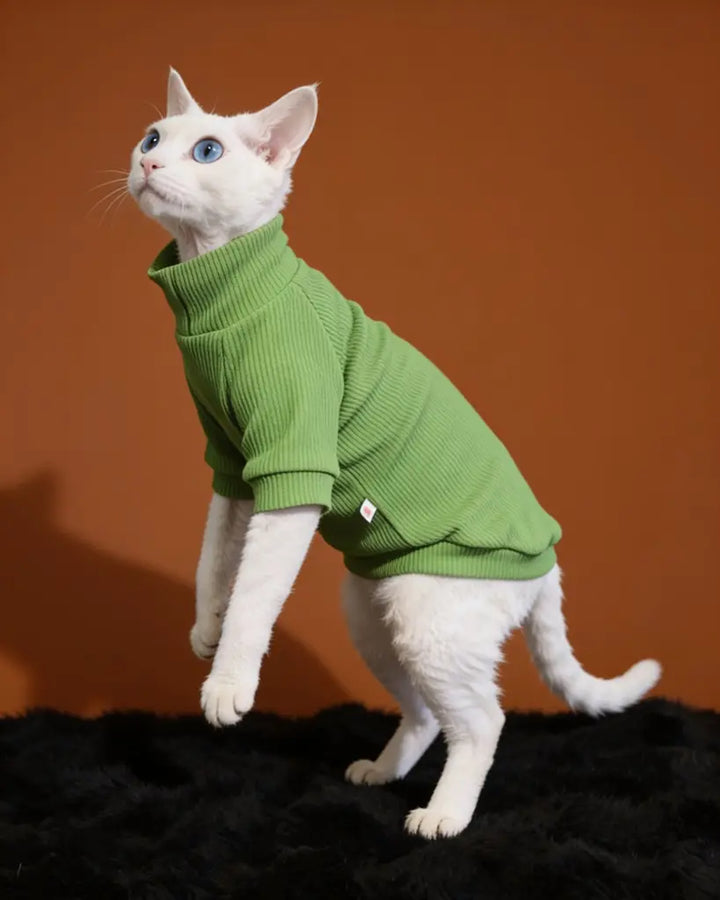 Sphynx Cat Warm Long Sleeve Pet Shirt CityBear