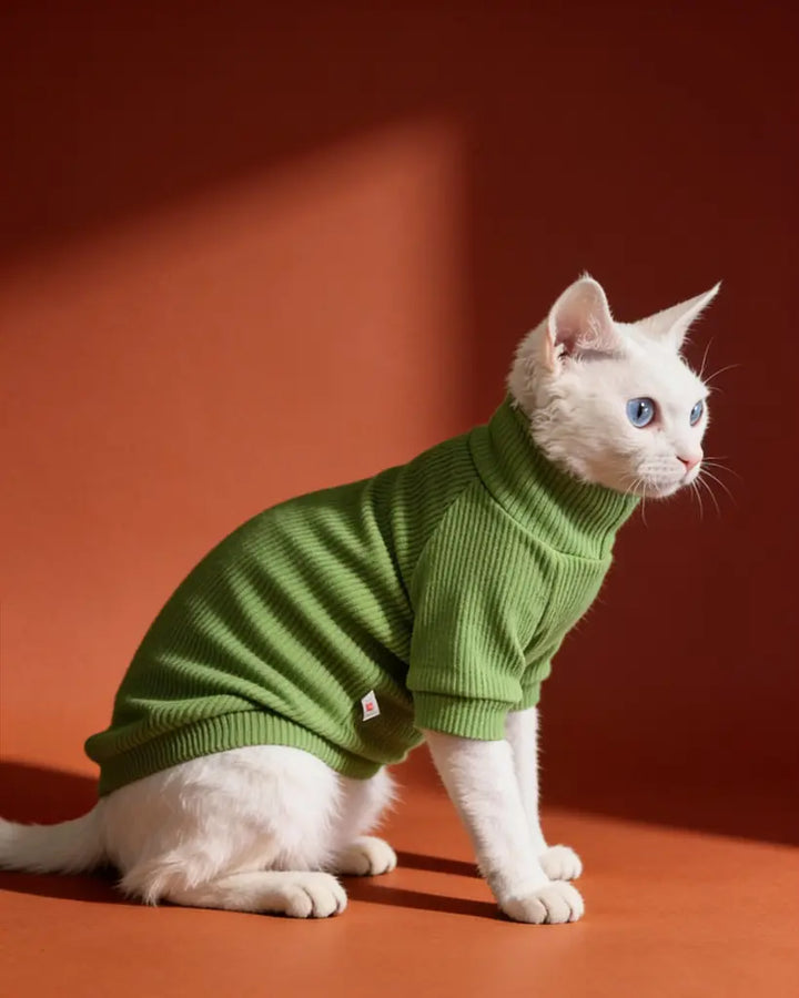 Sphynx Cat Warm Long Sleeve Pet Shirt CityBear