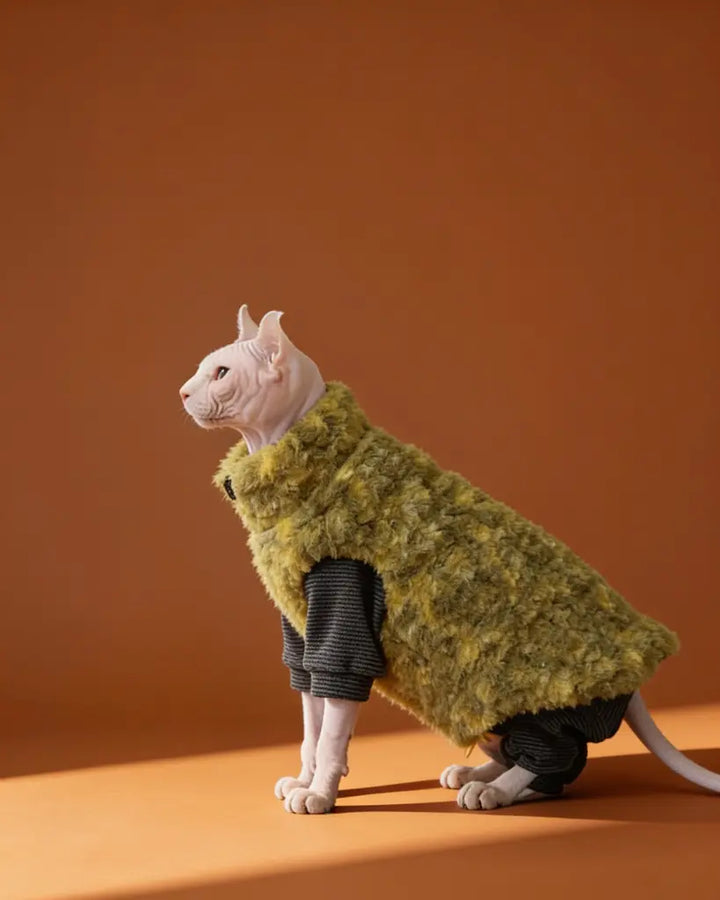 Sphynx cat wearing a thick olive green polar fleece winter coat with zipper