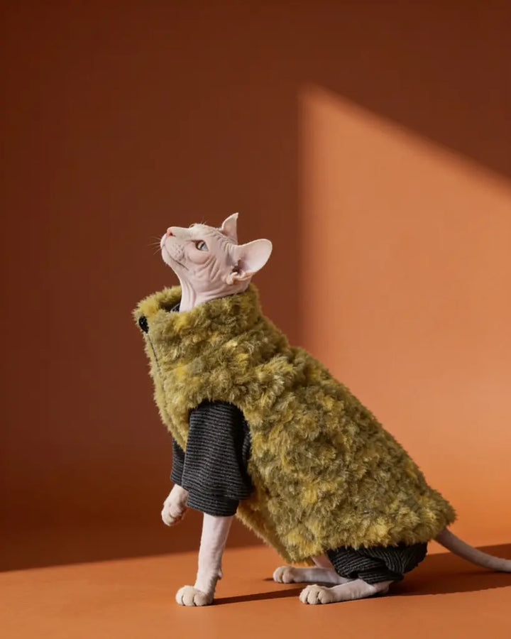 Sphynx cat wearing a thick olive green polar fleece winter coat with zipper