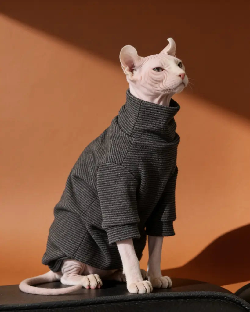 A hairless cat wearing a black pinstriped turtleneck pet sweater.