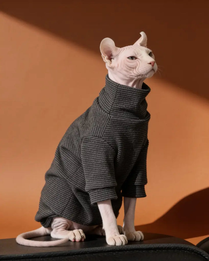 A hairless cat wearing a black pinstriped turtleneck pet sweater.