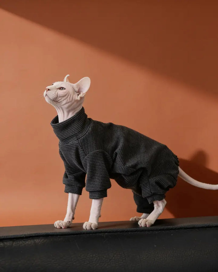A hairless cat wearing a black pinstriped turtleneck onesie.